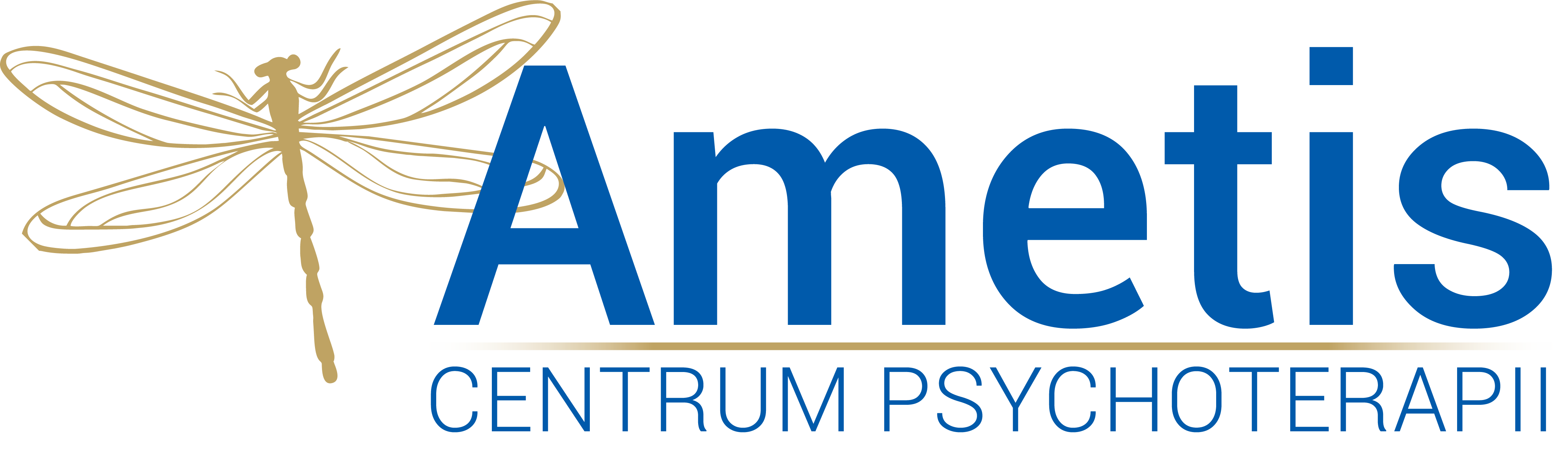 Centrum Psychoterapii Ametis